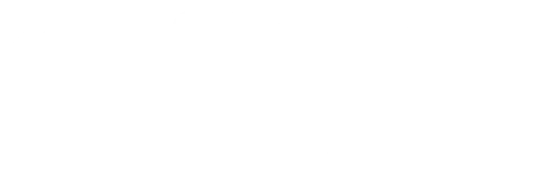 Cheshire chamber of commerce logo