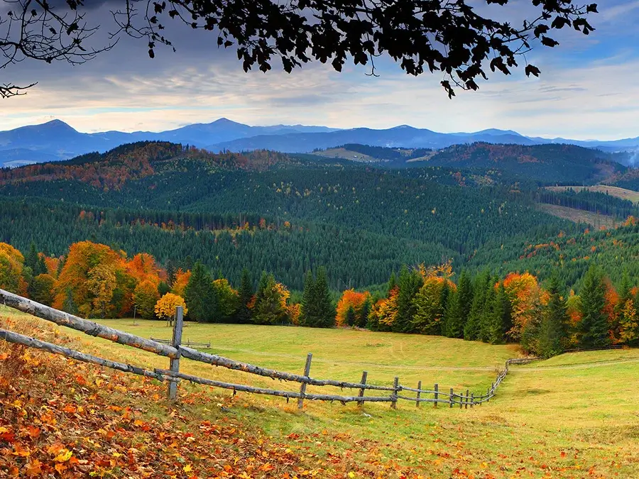 open fields with leaves changing colors during the fall season